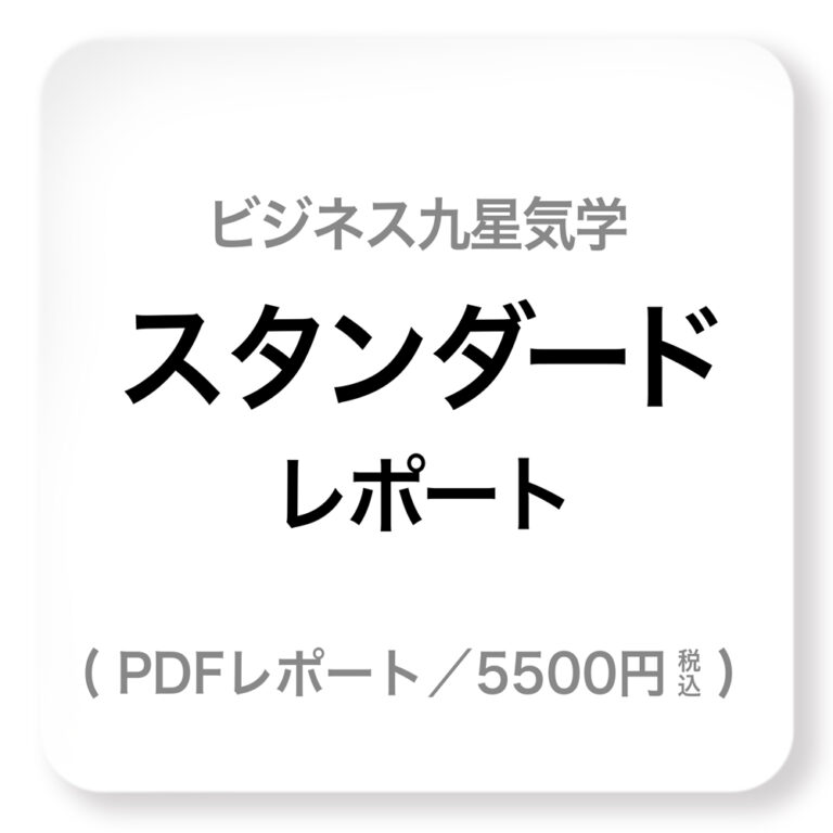 スタンダードレポート